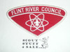 Flint River Council t1 CSP - Scout