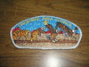 Cherokee Area Council sa74 CSP - Scout