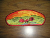 Cherokee Area Council sa64 CSP - Scout