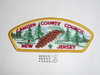 Camden County Council t2 CSP - Scout   MERGED