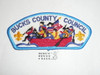 Bucks County Council ta21 CSP