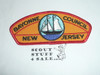 Bayonne Council t1 CSP - Scout    MERGED
