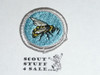 Bee Keeping (Silver Bdr) - Type G - Fully Embroidered Cloth Back Merit Badge (1961-1971)