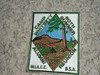 1996 Camp Whitsett Alumni Reunion Patch - 50th Anniversary