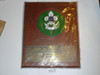 1978 Scouts of China Plaque Given to Great Western Council For World Brotherhood Exchange