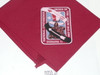 National Order of the Arrow Conference (NOAC), 1990 Neckerchief