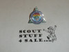 1993 Section W3 Order of the Arrow Conclave Pin - Scout