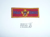 Boy Scouts of America WWII War Service Patch