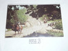 D-BAR-A Scout Ranch Horseback Riding Post card
