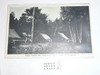 Camp Yawgoog - Camp Tuoco Post card, 1930's
