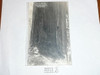 Boy Scout Tree Photo Post card, 1920's