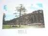 Philmont Scout Ranch Post card, Cimarrancito Base Camp, 1950's-80's