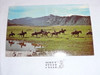 Philmont Scout Ranch Post card, Mountain Horseback Riding, 1950's-80's