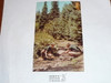 Philmont Scout Ranch Post card, Thar's Gold in Them Hills, 1950's-80's