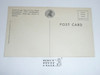 1950 National Jamboree Postcard The Flag Poles