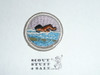 Swimming (needle break) - Type H - Fully Embroidered Plastic Back Merit Badge (1971-2002)