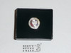 2010 Sterling Silver Eagle Scout Lapel Pin, 100 Year Anniversary