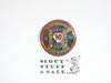 Camp Pahatsi & Camp Winton 1985 Diamond Jubilee Pin