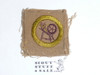 Textiles - Type A - Square Tan Merit Badge (1911-1933), used