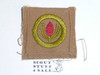 Forestry - Type A - Square Tan Merit Badge (1911-1933), lt use