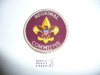 Regional Committee Patch (RC2), 1973-?