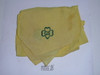 Girl Scout Hankerchief