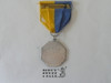 Silver Cub Scout Award Medal