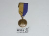 Cub Scout Gold Raingutter Regatta Medal