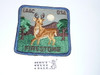 Firestone Scout Reservation Patch - Square Royal Blue bdr & Brn letters - Dirty