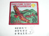 Firestone Scout Reservation Patch, Rectangle, Red bdr