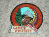 2003 Camp Whitsett McNally Fire Commemorative Patch - Scout