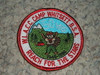 1996 Camp Whitsett Patch - 50th Anniversary Camp Patch