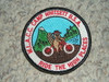 1993 Camp Whitsett Patch - Scout