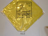 Philmont Scout Ranch Neckerchief, 1991 Philmont Staff