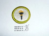 Public Health - Type H - Fully Embroidered Plastic Back Merit Badge (1972-2002)