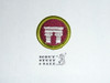 Architecture - Type H - Fully Embroidered Plastic Back Merit Badge (1972-2002)