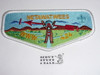 Order of the Arrow Lodge #424 Netawatwees Flap Patch from the Last Ten Years