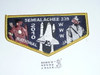 Order of the Arrow Lodge #239 Semialachee 2010 National Jamboree Flap Patch #2