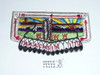 Order of the Arrow Lodge #173 Flap Patch from the Last Ten Years