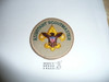 Assistant Scoutmaster Patch (ASM9), 1989-?, Lite use