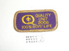 Quality Unit Patch 100% Boys' Life, 2005