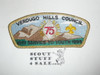 Verdugo Hills Council s7 CSP