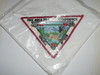 1972 Order of the Arrow Area 12E Conclave Neckerchief