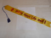 MINT 2008 100% Boys' Life Unit Ribbon - Scout
