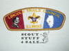 Lincoln Trails Council s3 CSP - Scout