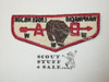 Order of the Arrow Lodge #308 Wahpinachi f1a First Flap Patch, some box soiling