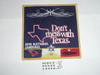 2010 National Jamboree JCP - Don't Mess with Texas Large Patch