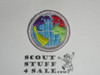 Citizenship in the World (Silver bdr) - Type K - Fully Embroidered Merit Badge with 100th Anniv backing (2010)