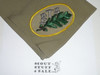 Breyer Training Area (BTA) patch on olive Neckerchief, Philadelphia Council