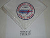 Crossroads of America Council Camps Neckerchief, white